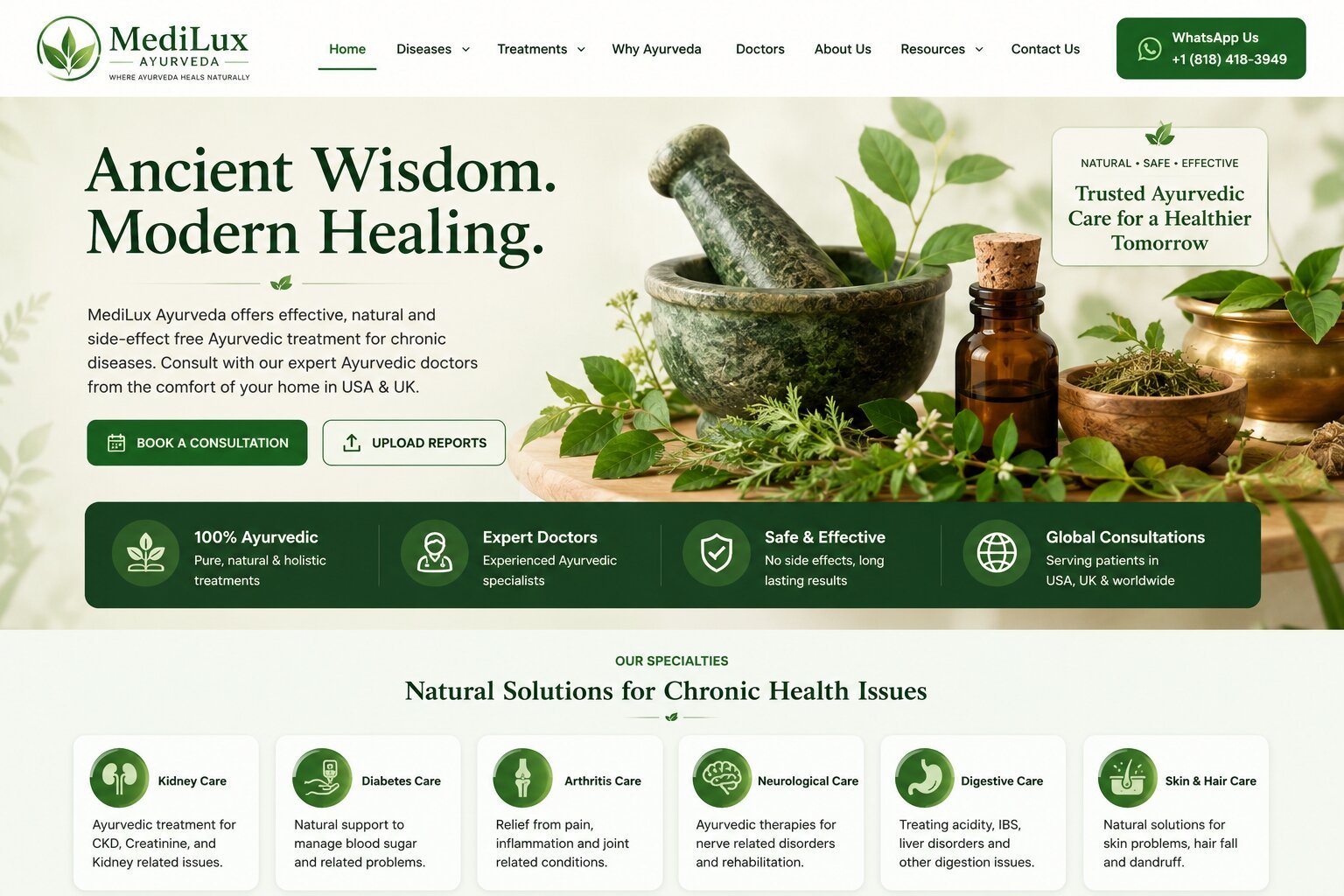 Medilux Ayurveda website preview